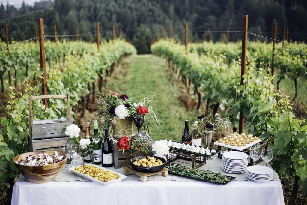 Summer picnic in an Oregon vineyard from Elephants Catering